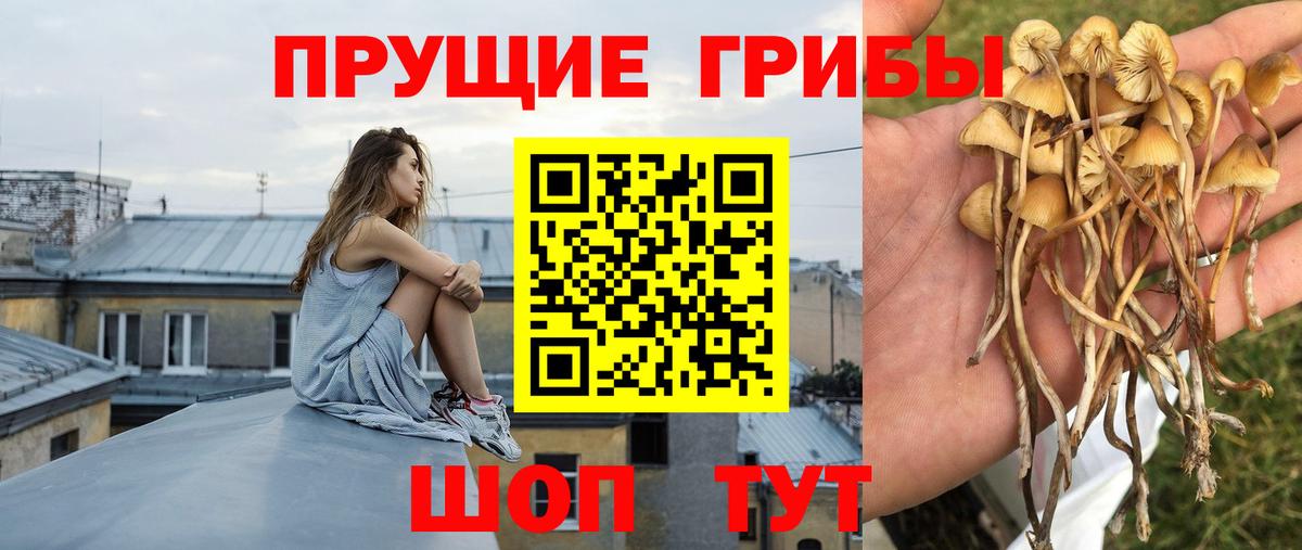 Псилоцибиновые грибы Magic Shrooms  Вход с VPN  Дзержинск 
